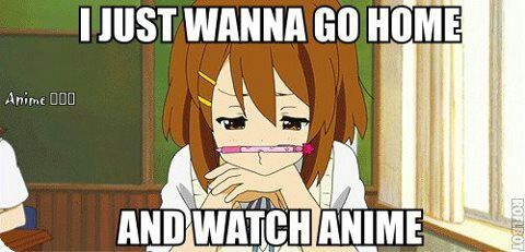 anime meme
nápis: "I just wanna go home and watch anime"
